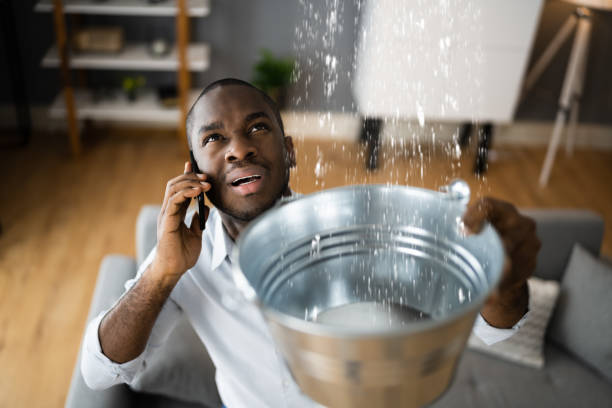 Best Water damage cleanup near me  in Cleona, PA