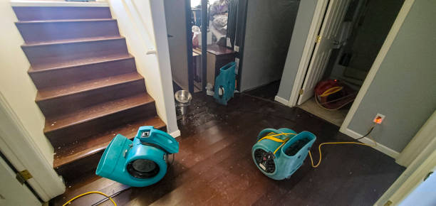 Best Basement water damage restoration  in Cleona, PA