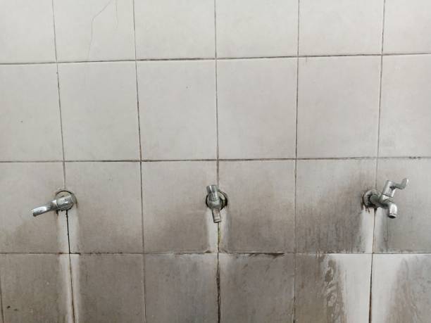  Cleona, PA Water damage restoration Pros